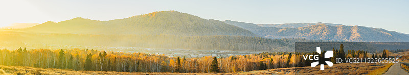 禾木日出，金色花卷图片素材