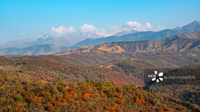 秋季山脉与雪山（科克托别山，阿拉木图，哈萨克斯坦）图片素材