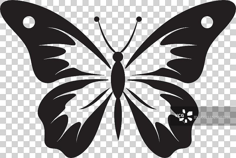 光芒四射的蝴蝶设计图片素材