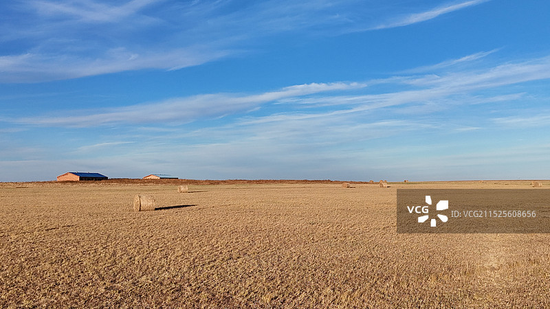 金黄草原图片素材