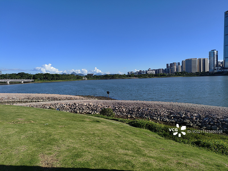 深圳南山人才公园图片素材