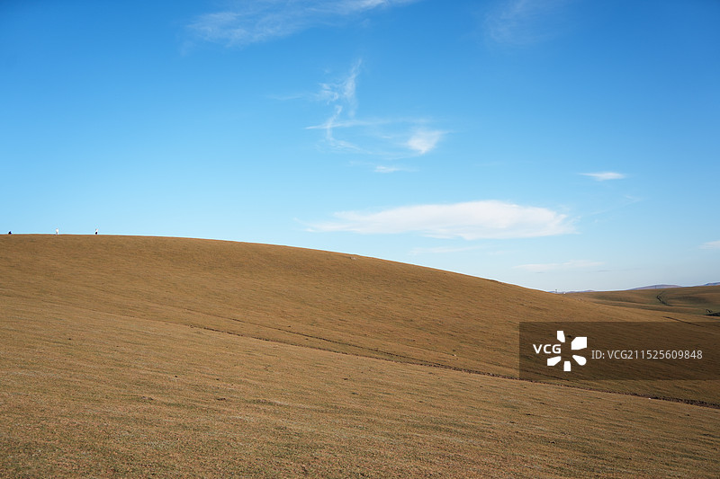 蓝天下的秋季草原图片素材