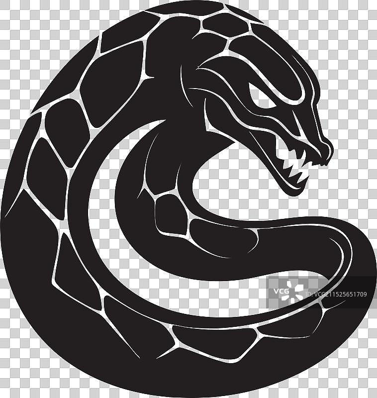 隐秘盘绕的黑曼巴蛇矢量图图片素材