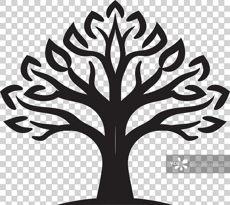 冰岛东北部，厄克萨峡湾海岸线风光图片素材