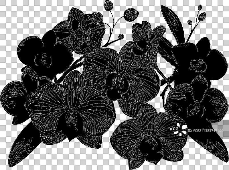 兰花花束艺术剪影图片素材