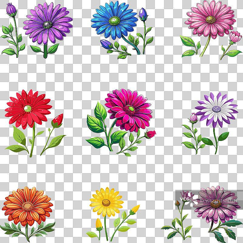 充满活力的雏菊花卉艺术图片素材