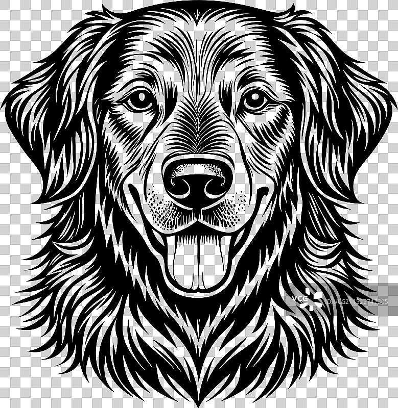 金毛巡回猎犬剪影设计图片素材