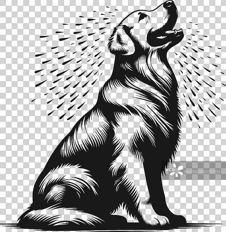 金毛巡回猎犬剪影设计图片素材