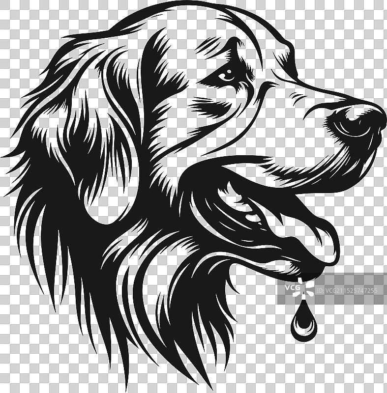 金毛巡回猎犬剪影设计图片素材