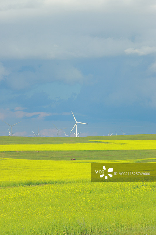 草原上的风力发电站图片素材