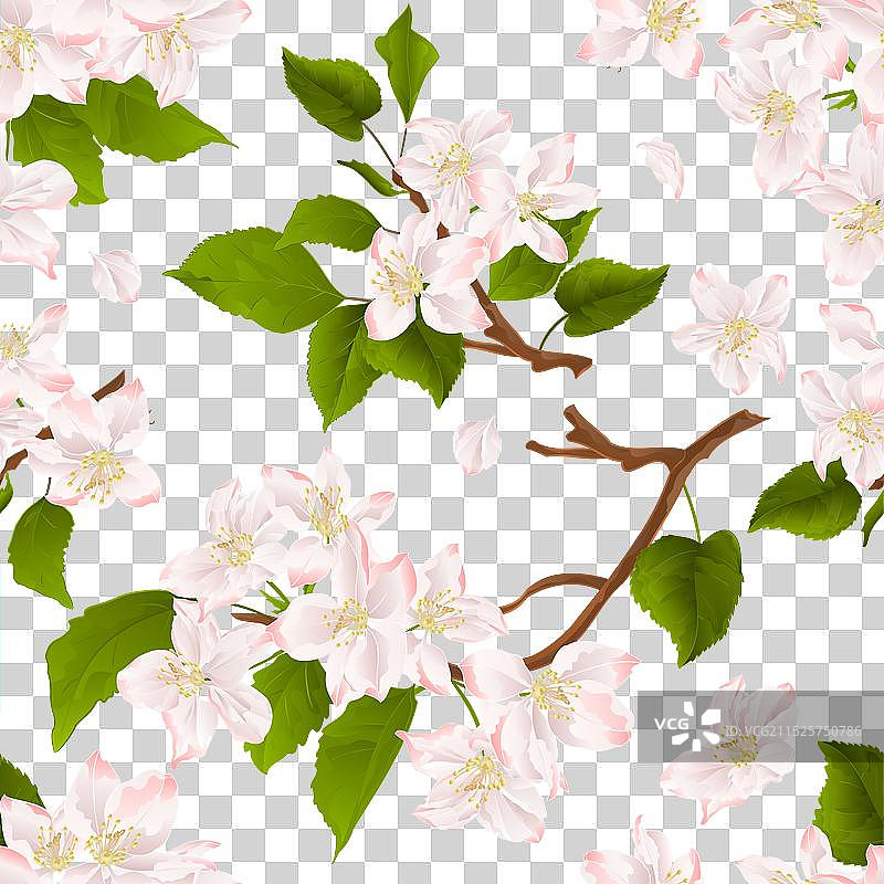 苹果树枝无缝纹理背景图片素材