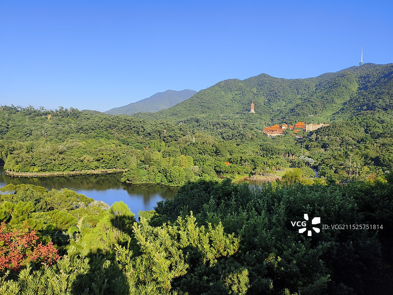 深圳仙湖植物园图片素材