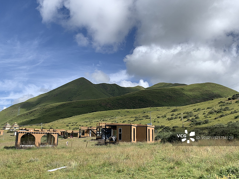 金马草原图片素材