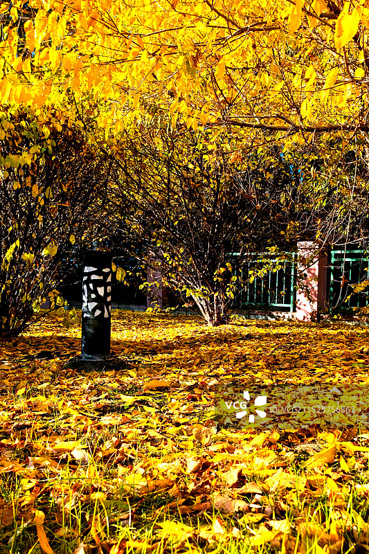 新城秋色图片素材