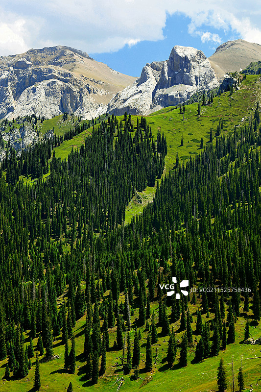 新疆 伊昭公路 白石峰图片素材