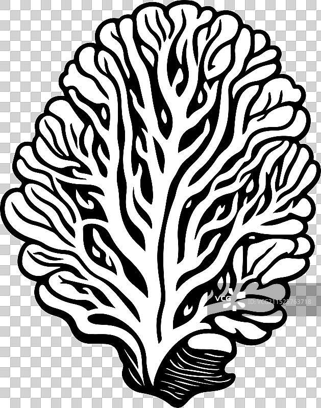 带凹槽的大脑图标手绘黑珊瑚标志图片素材