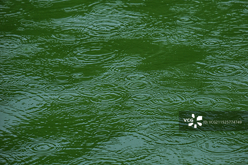 夏天里的雨水落在河面上，点点滴滴点点……（一场秋雨一场寒）图片素材