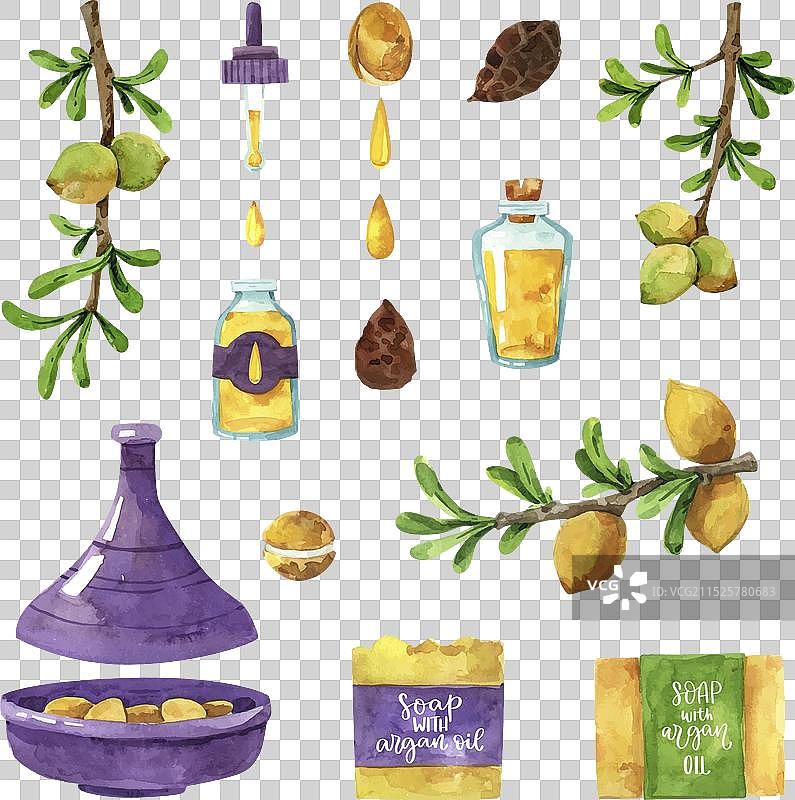 水彩摩洛哥坚果油元素合集图片素材