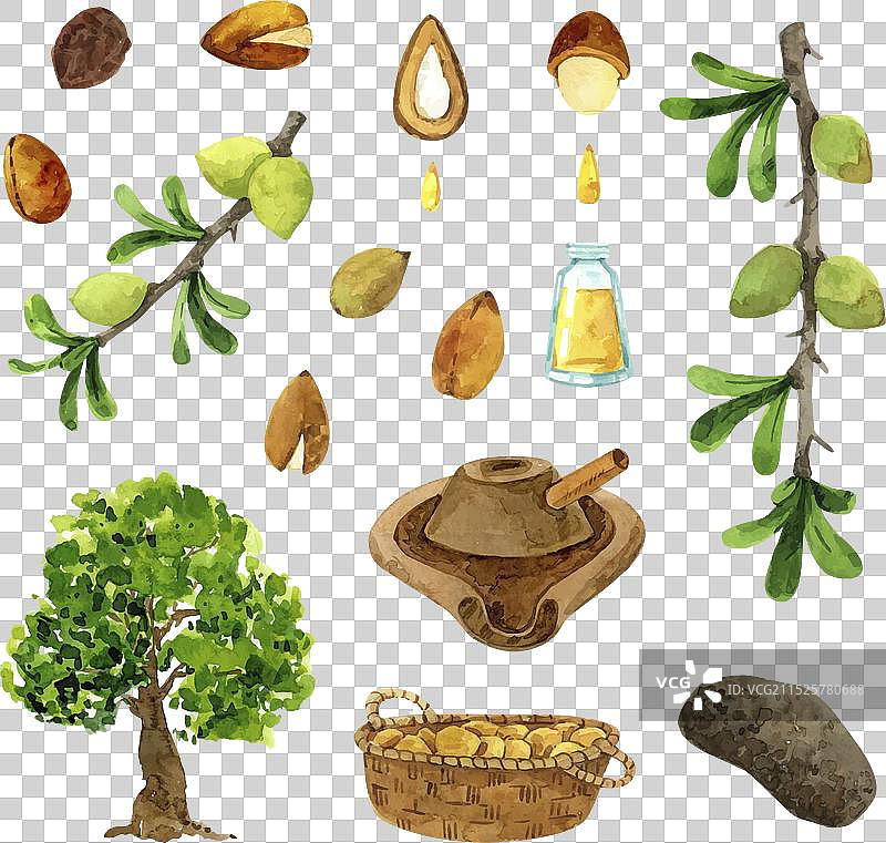 水彩摩洛哥坚果油元素合集图片素材