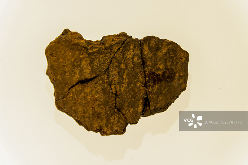 陶片（距今约2万年，江西省万年县仙人洞遗址出土，江西省文物考古研究院，是目前世界上已知最早的陶容器）图片素材