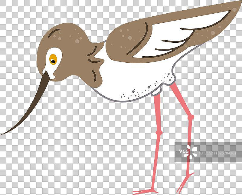 普通狙击鸟图片素材