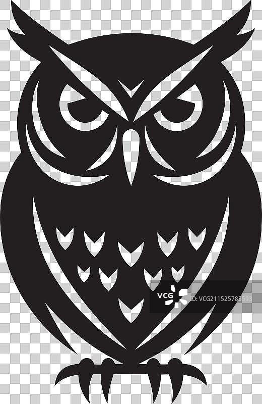 神秘威严的黑猫头鹰艺术之夜徽章图片素材
