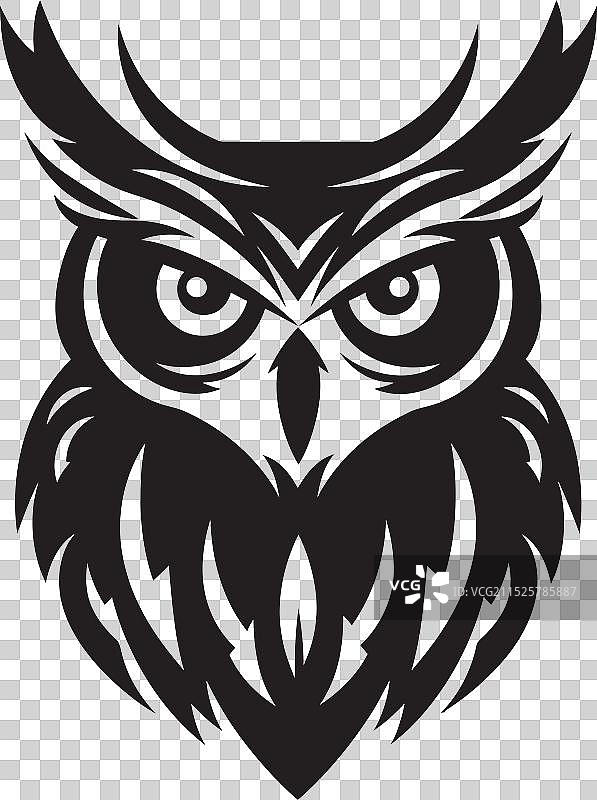 夜色中精致的黑猫头鹰图片素材