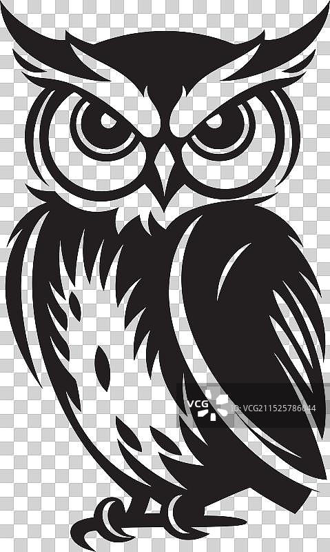 追寻真理的黑猫头鹰线条艺术图标图片素材