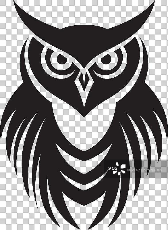 夜间猛禽黑猫头鹰艺术图片素材