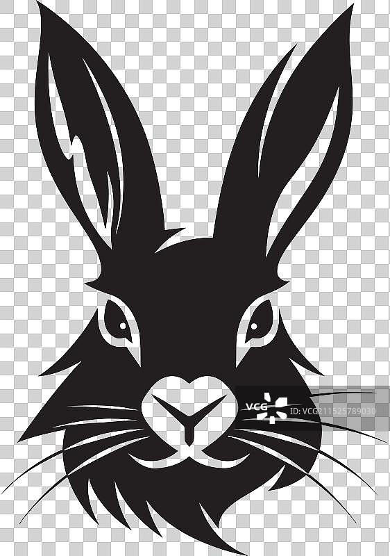 单色兔子阴影的动态深度图片素材