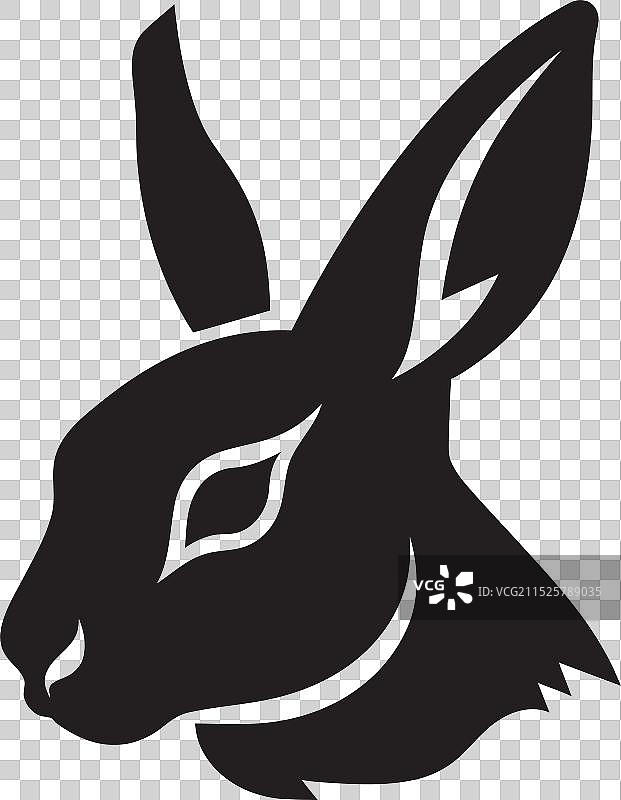 时尚阴影下的黑色兔子图片素材