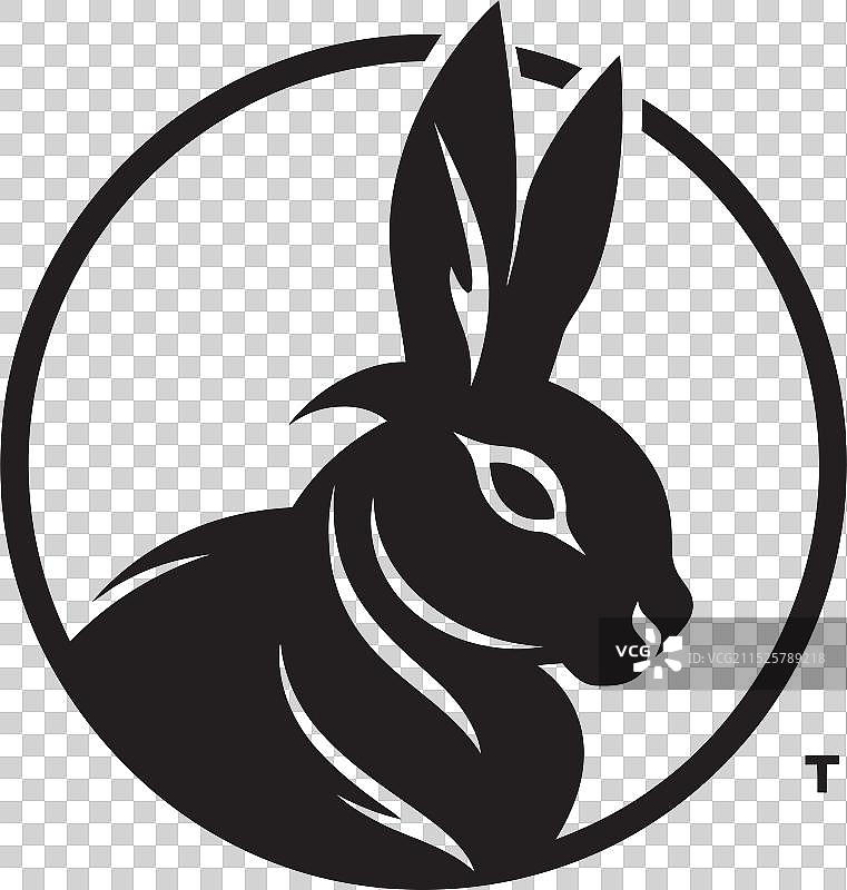 艺术对比黑色兔子设计图片素材