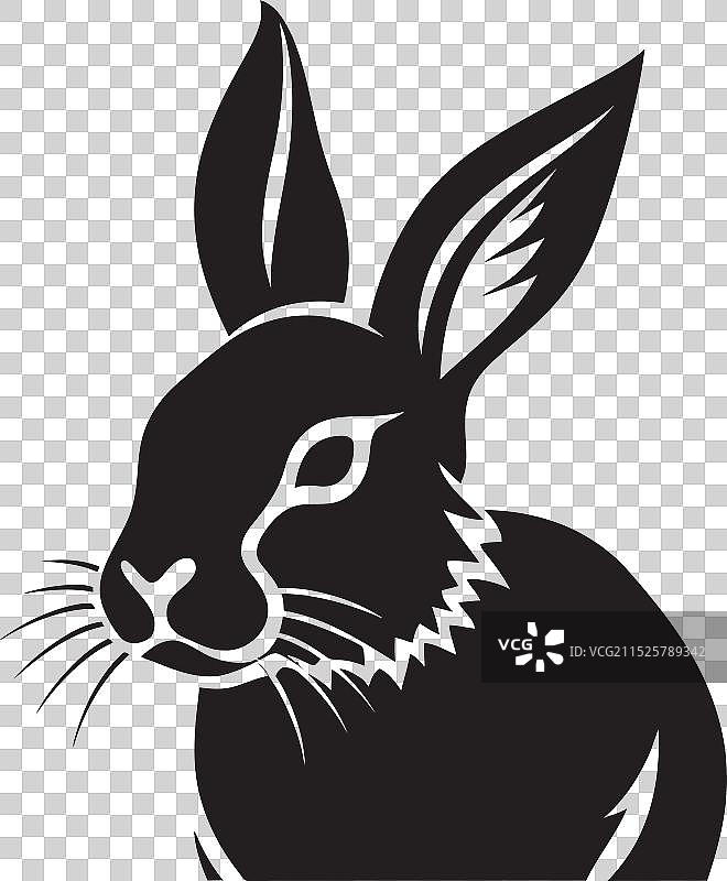 精致的单色黑色兔子设计图片素材