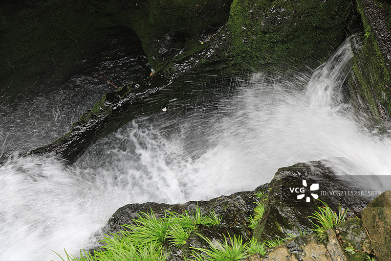 绿意盎然的溪流图片素材