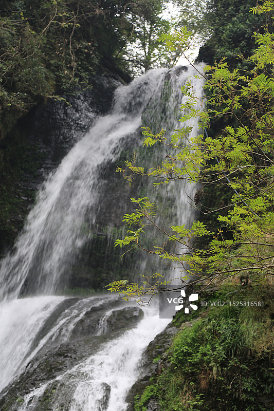 幽静山谷中的瀑布图片素材