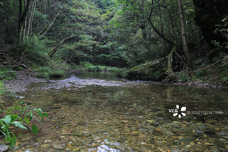 溪流 山间溪流 山间小溪图片素材