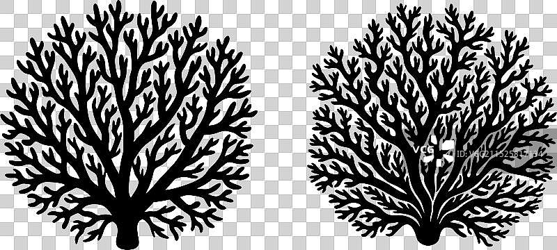 珊瑚剪影设计5图片素材