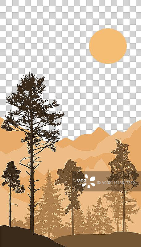 松树针叶林剪影图片素材