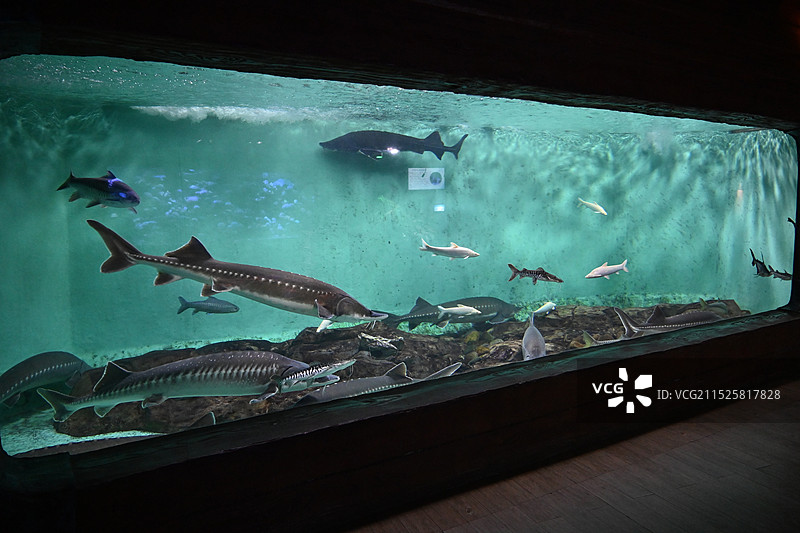 北京太平洋海底世界博览馆图片素材