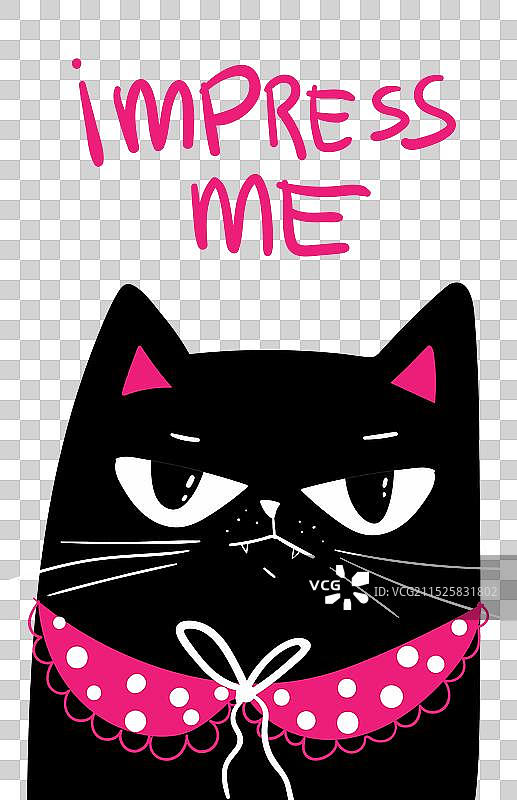 一脸不高兴的黑猫图片素材