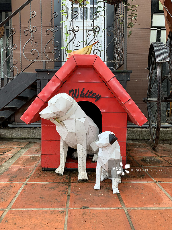 纸板做的宠物狗与狗窝图片素材