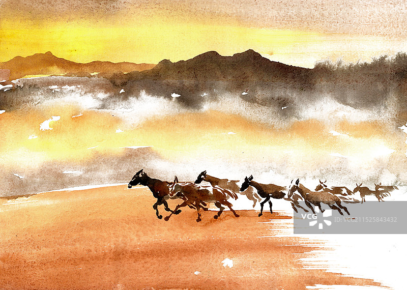 奔跑的骏马图片素材