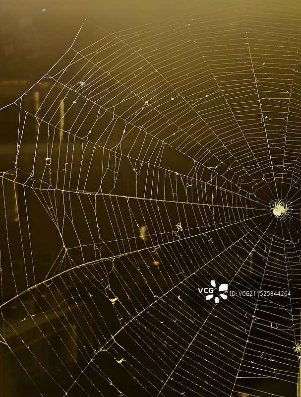 天罗地网图片素材