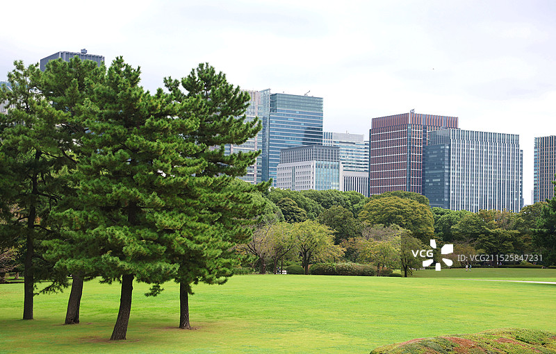 日本东京皇居花园绿色草坪图片素材
