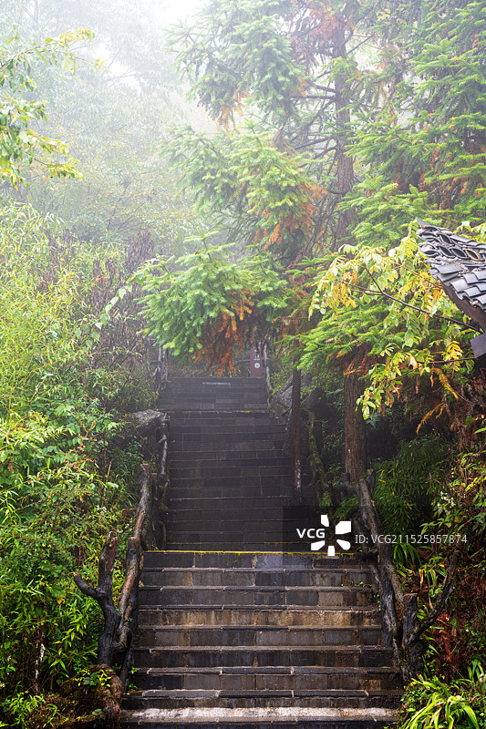 雨雾中的恩施大峡谷七星寨图片素材