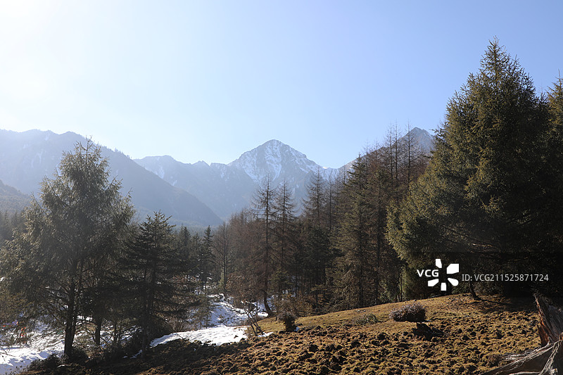 雅安硗碛藏寨·神木垒景区图片素材