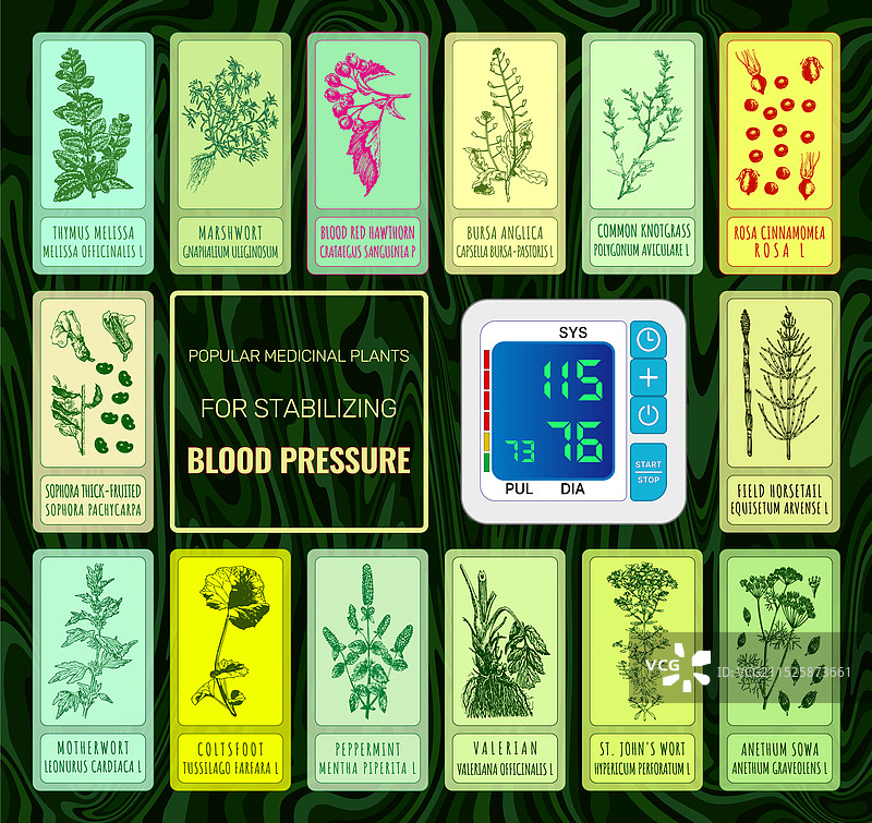 顶级手绘药用植物合集图片素材