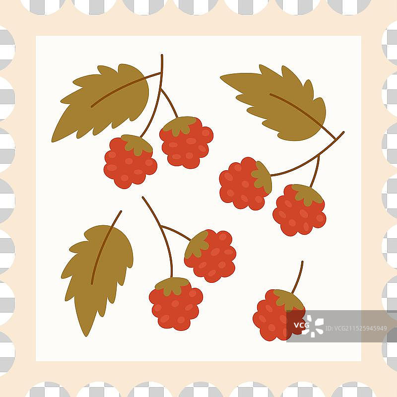 覆盆子邮票图片素材