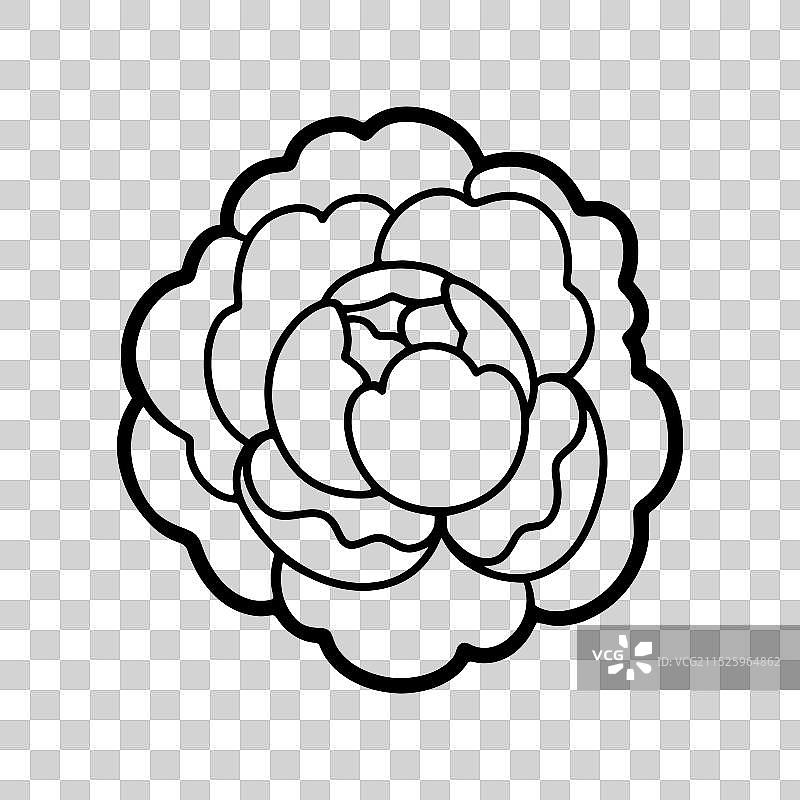 牡丹线性轮廓花图片素材