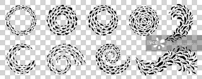 鱼群水生螺旋图片素材